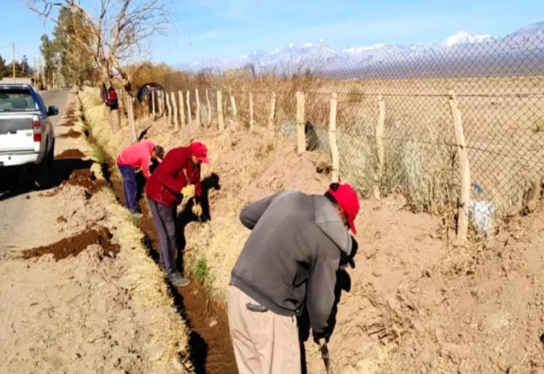 San Juan | En el municipio de Calingasta avanzan con un plan de forestación para mejorar el paisaje y mitigar el viento con más de 350 sauces plantados en Barreal