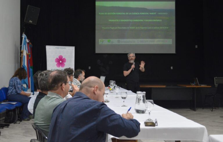 Misiones avanza con el Programa REDD+ para el desarrollo sostenible de la Cuenca Forestal Yabotí