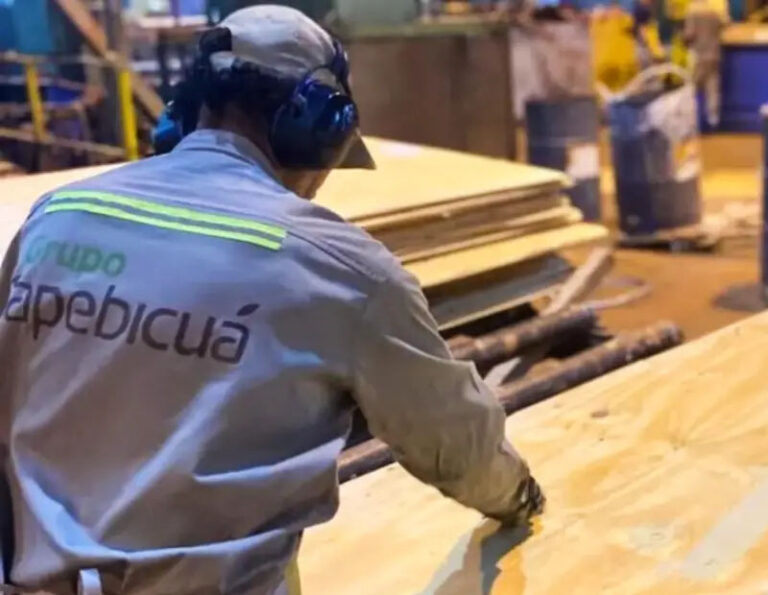 Crisis de la madera en Corrientes | Celulosa Argentina confirmó que la compra de acciones de Esteban Nofal incluye a Forestadora Tapebicuá