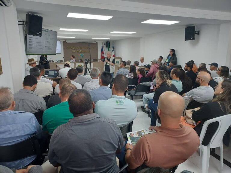 Brasil | Impulsan la producción forestal sostenible con el sistema ILPF en el Valle del Jiquiriçá