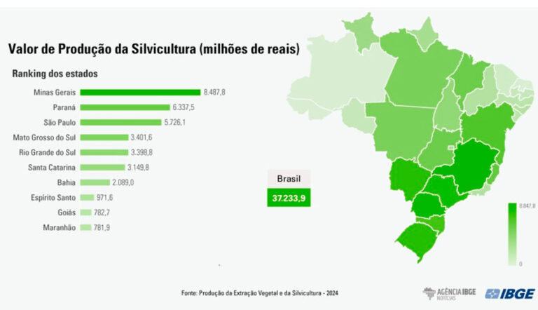 Brasil | Minas Gerais lideró la producción forestal en el país con R$ 8,5 mil millones en 2024, según el IBGE