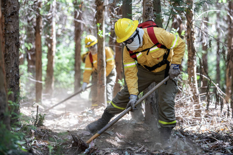 Chile | Corma destinará $123 mil millones para enfrentar incendios y 5 mil brigadistas para combate 