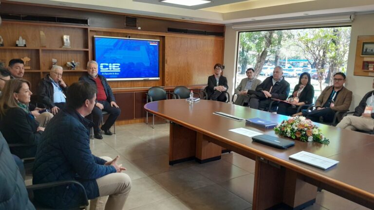 Paraguay abre nuevas oportunidades a Pymes chilenas para el despegue forestal en la región