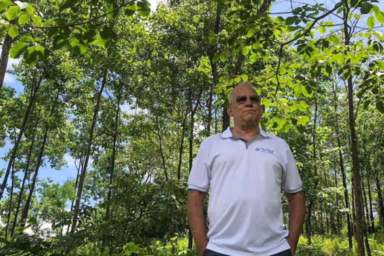 Convertir pastizales en bosques para conservar el agua en la provincia más seca de Costa Rica