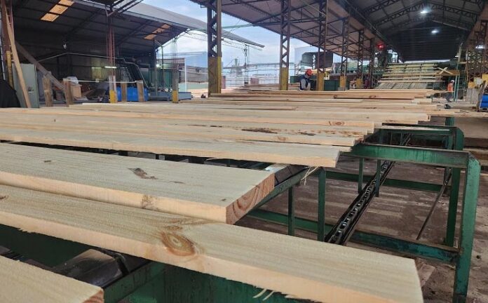 Stuart Navajas Forestal Las Marias