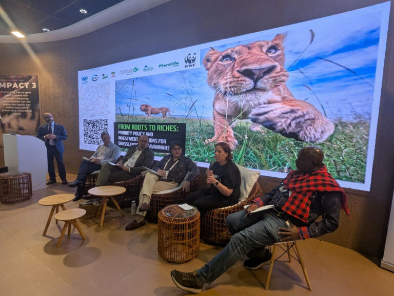 Reconocimiento histórico: los pastizales ingresan a la agenda global de la UICN