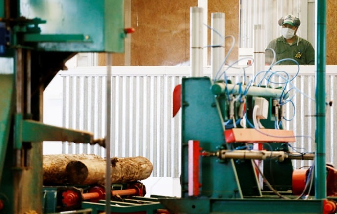 El Centro Tecnológico de la Madera de la UNLP avanza en el montaje de viviendas sociales y economía circular en Los Hornos