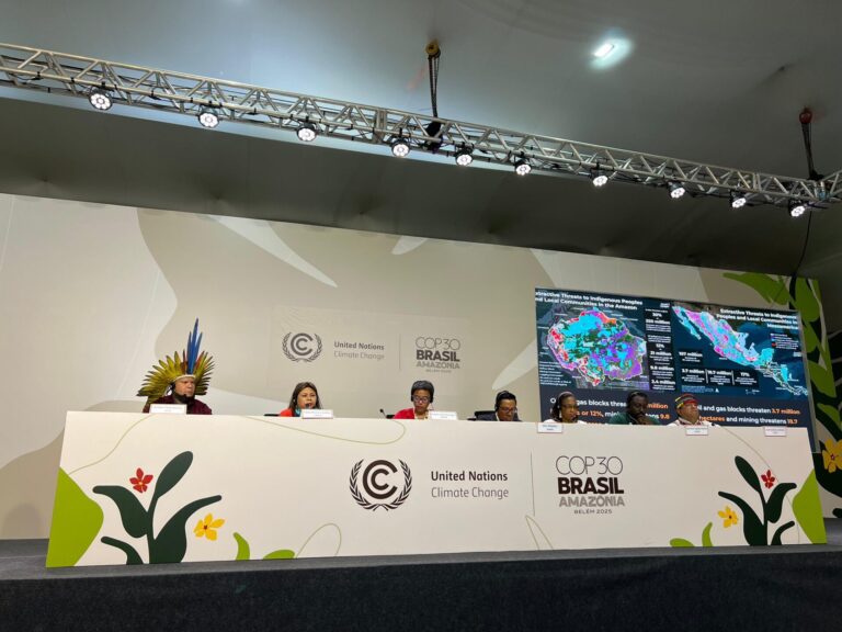 COP30 | La gestión sostenible de los bosques tropicales como solución climática fue destacada por la OIMT 