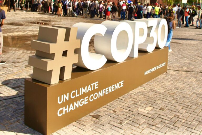 COP30 | El sector de las plantaciones forestales de Bahía expondrá sobre las contribuciones para minimizar los efectos de la crisis climática