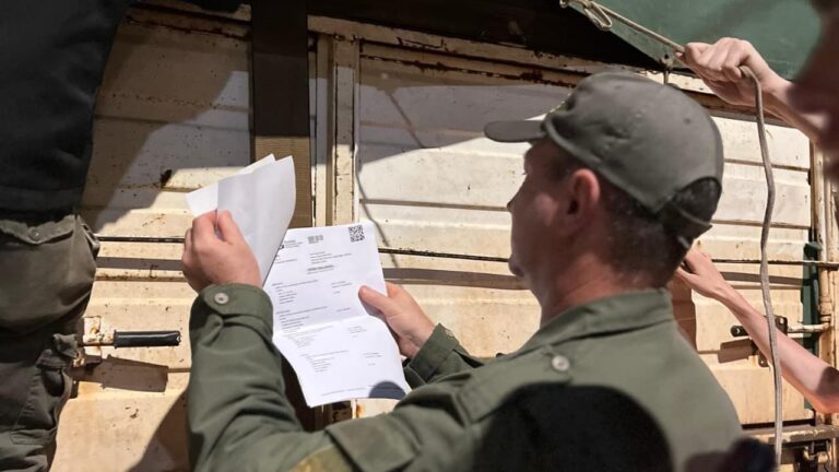 Bosque nativo | En Misiones endurecen controles en rutas por transporte ilegal de madera nativa, tala de bosques sin permisos y guías digitales fraudulentas