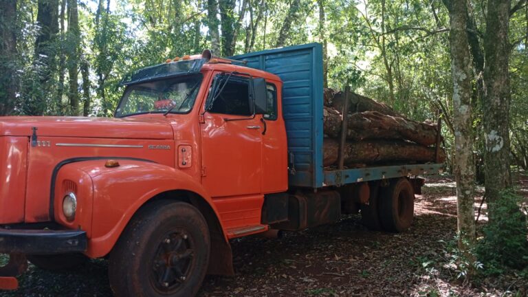 Misiones | Guardaparques de la Zona Norte detienen carga ilegal de madera nativa en pleno Corredor Urugua-í–Foerster