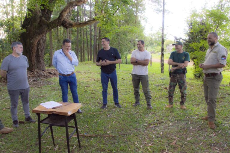 Misiones | Ecología y el Municipio de San Pedro refuerzan la protección del Parque Provincial Piñalito Sur ante el avance del apeo ilegal