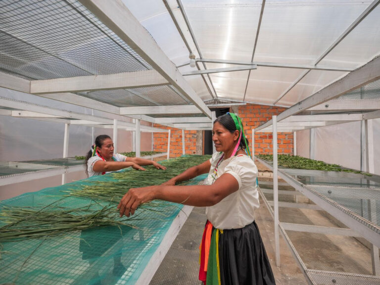 COP30 | Los beneficios económicos de invertir en la adaptación al cambio climático «son convincentes», afirman desde el FIDA