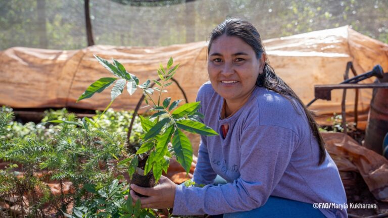 El Proyecto Pagos por Resultados de REDD+ se construye de historias inspiradoras de mujeres rurales en Misiones