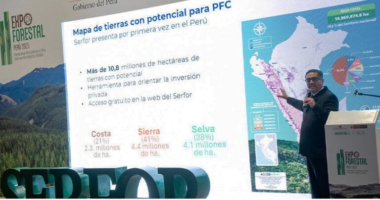 Perú dispone de 11 millones de hectáreas con potencial forestal según mapa nacional de Tierras de SERFOR