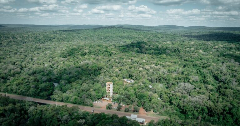 Misiones | Premiado en la Bienal de Arquitectura Argentina por paisajismo, el Puesto Uruzú en el Parque Urugua-í se consolida como destino de turismo sostenible