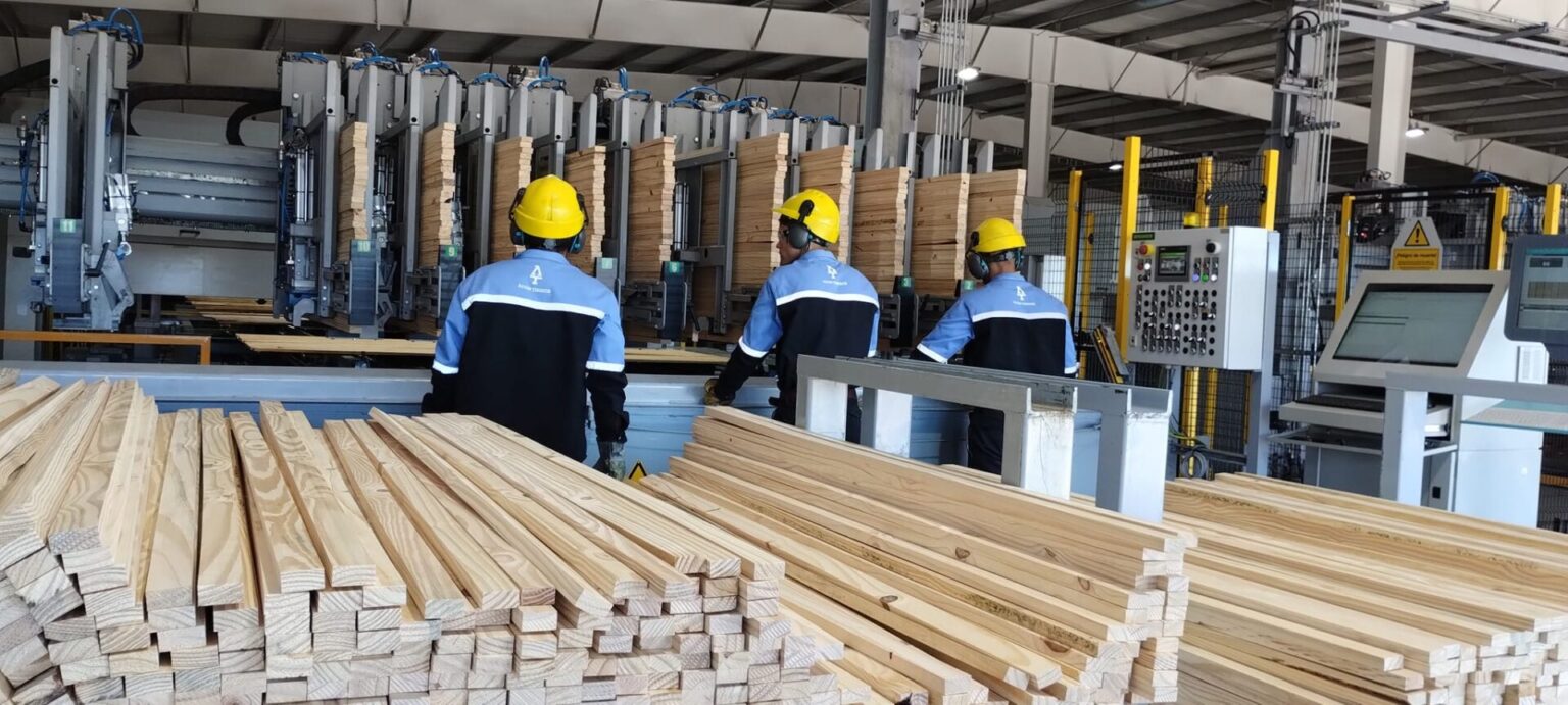 La industria de la madera muestra se&ntilde;ales de recuperaci&oacute;n: r&eacute;cord de exportaciones y mejora gradual del mercado interno
