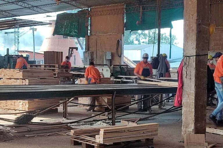 Misiones | Linor SRL, histórico aserradero de Azara, atraviesa sus horas más difíciles, acorralado por deudas millonarias y recesión económica en el país