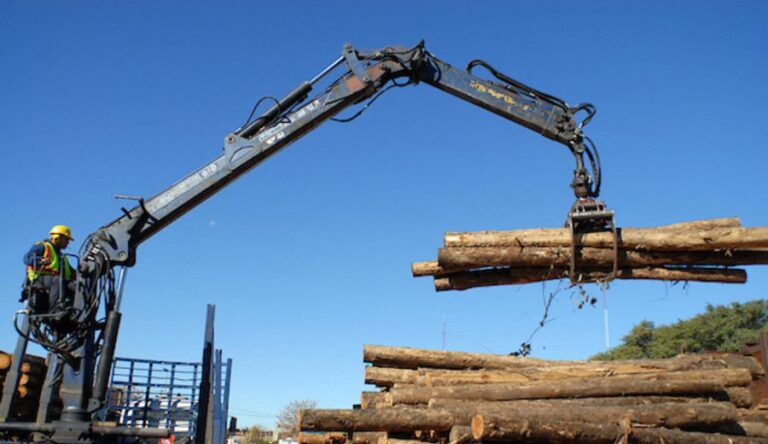 La multinacional neocelandesa Claymark invertirá más de US$100 millones en Uruguay con un proyecto forestal declarado de interés nacional