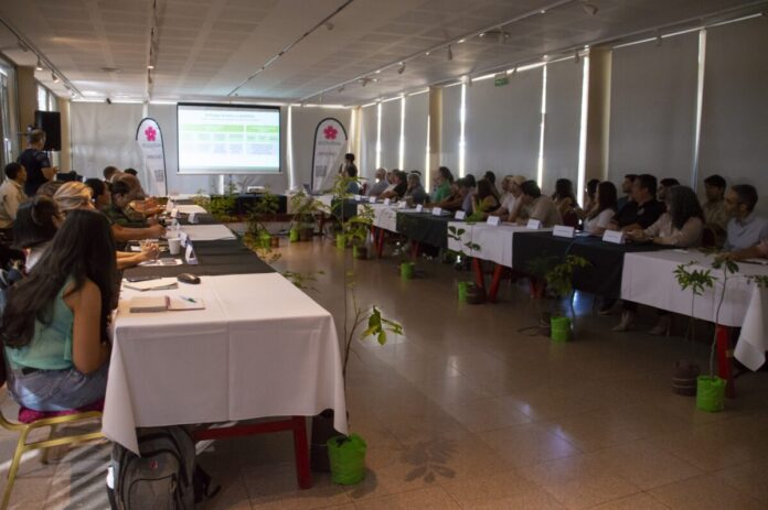 Misiones redujo un 18% la deforestación en 2025 y reforzará controles con tecnología, registro de infractores y nuevos canales de denuncia en 2026