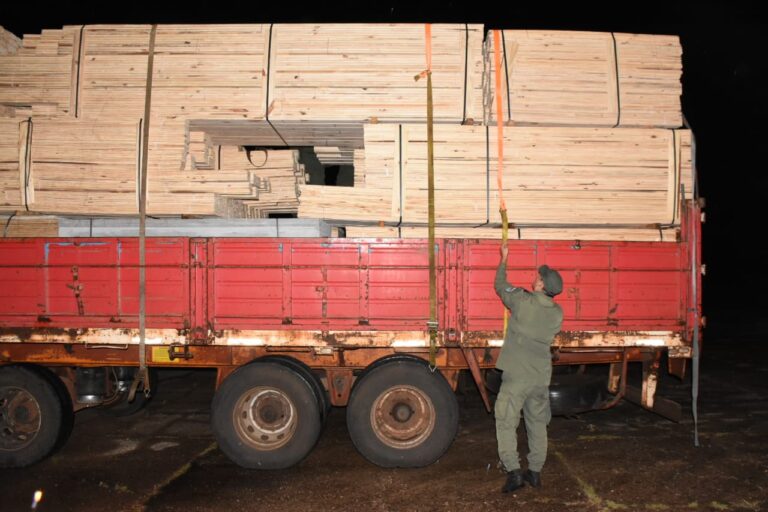 Corrientes | Gendarmería detectó más de tres toneladas de marihuana que eran trasladadas entre placas de maderas por Ruta 14