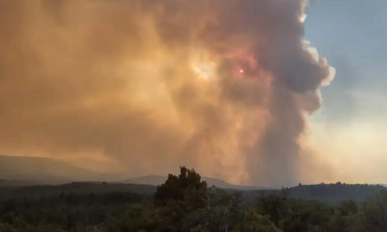 Calor extremo | Enero marcó un dramático inicio de año en la lucha contra los incendios en la Patagonia y gobernadores piden Ley de Emergencia Ígnea