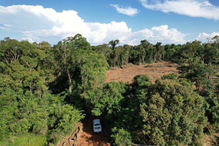 Misiones | Un reclamo indígena derivó en la suspensión de un plan forestal aprobado en Garuhapé y el propietario sostiene su legalidad: «¿No vale el título de propiedad?»