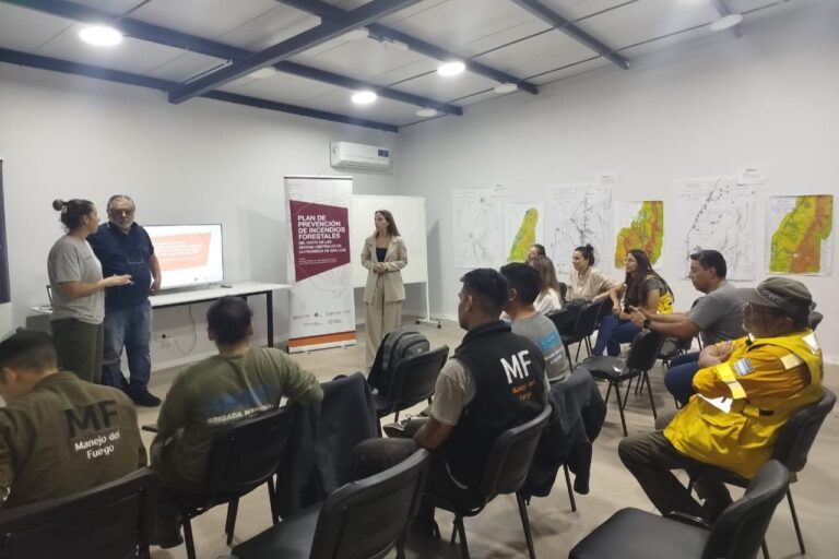 San Luis | El Servicio Nacional de Manejo del Fuego se suma al Plan de Prevención de Incendios Forestales