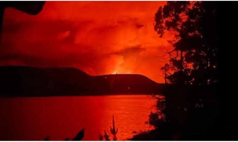 Incendios en la Patagonia: controlar hoy, prevenir mañana y restaurar el futuro 