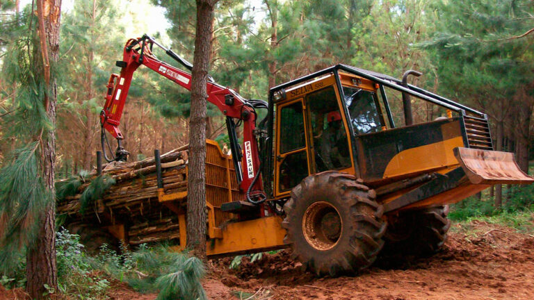 Trabajo legal | El RENATRE certificó en Misiones en Prácticas Laborales Sostenibles a la primera empresa forestal del país