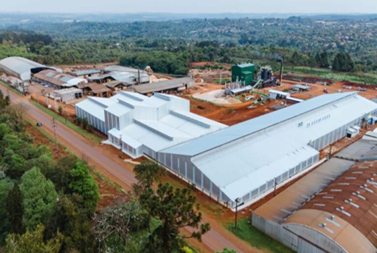 Misiones | TOLL Maderas avanza en el proceso de certificación FSC en Cadena de Custodia y Madera Controlada, y refuerza su perfil exportador