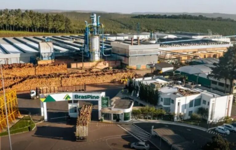 BrasPine apuesta fuerte por Uruguay con una inversión de US$ 250 millones para instalar su primera planta fuera de Brasil