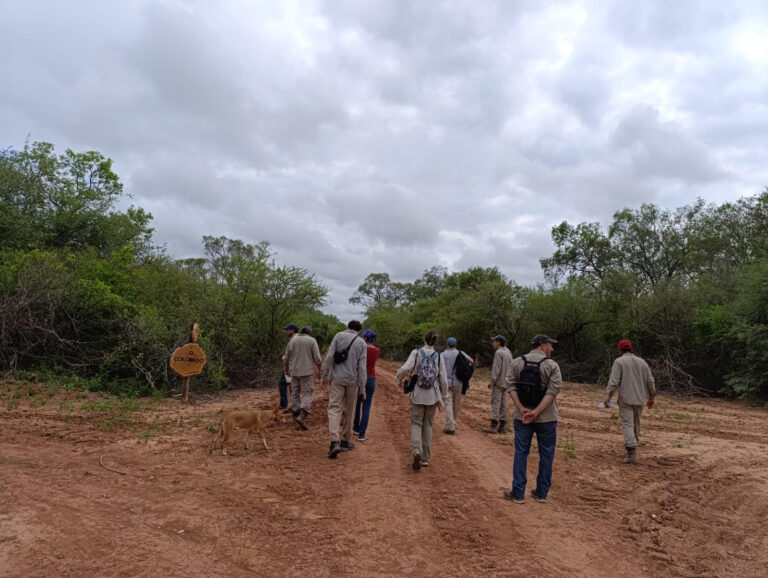 Argentina suma más de 2,1 millones de toneladas de CO₂ evitadas y removidas con dos nuevos proyectos forestales de carbono certificados