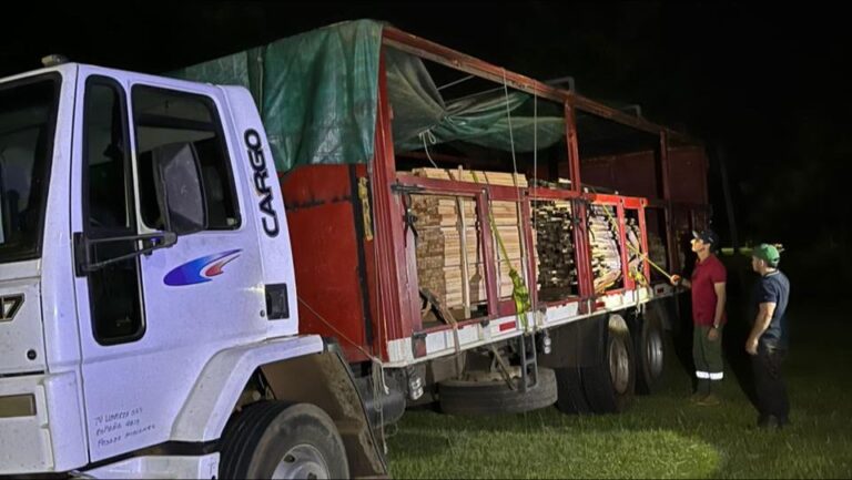 Misiones | Secuestran madera nativa sin documentación en Posadas durante operativo forestal sobre rutas provinciales