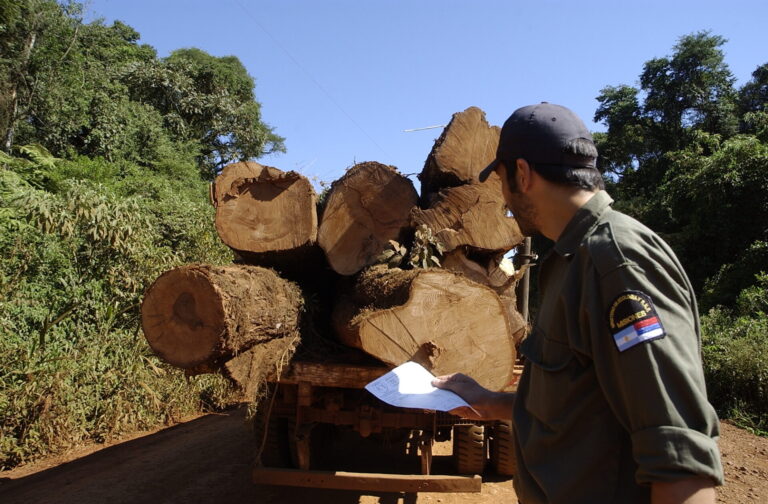 Amplio consenso técnico y social en defensa de la Ley de Bosques: organizaciones advierten sobre retrocesos en la reforma para la conservación y desarrollo del territorio