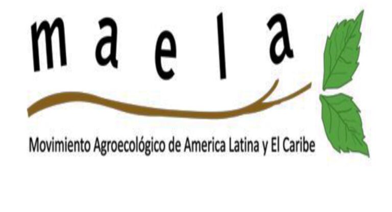 Día Internacional de los Bosques | «Los bosques sostienen a la agricultura familiar y comunitaria en Argentina, su protección y manejo es vital», remarcan desde MAELA