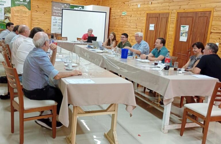 Rentabilidad cero en la foresto-industria: PyMEs enfrentan deudas, tarifas eléctricas altas, mercado paralizado y tensión por salarios