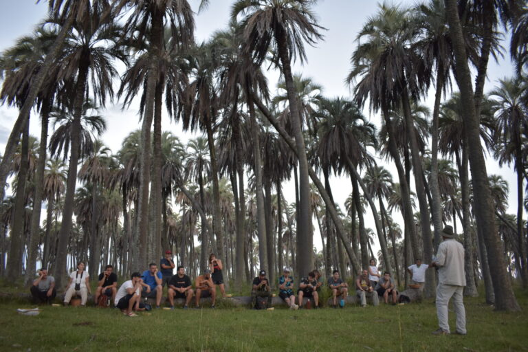 Alerta regional por el avance del picudo: especialistas de tres países coordinan acciones para proteger los palmares de yatay