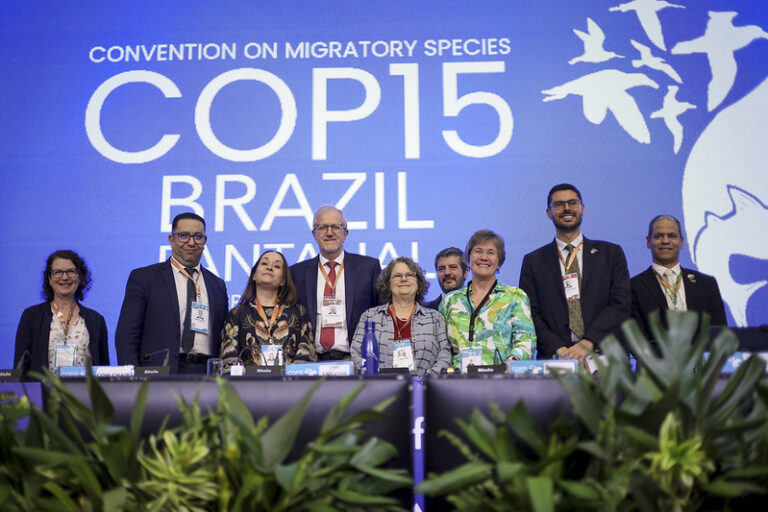 Histórico acuerdo global: la COP15 suma 40 especies migratorias protegidas y pone el financiamiento en el centro de la agenda