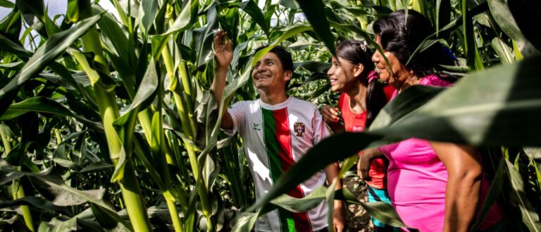 Solo el 35% de las tierras del mundo tiene documentación formal y crece la incertidumbre sobre la tenencia