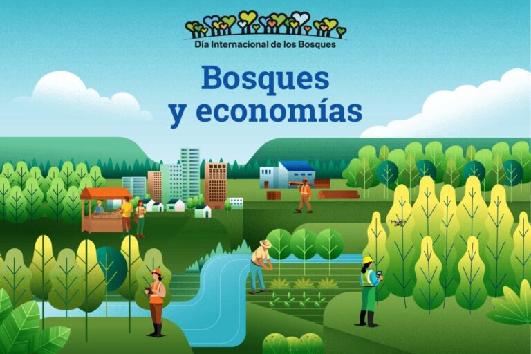 Día Internacional de los Bosques | “Los bosques son indispensables para economías sanas, hoy y para las generaciones futuras”