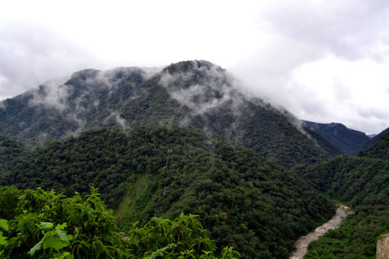 Mirando hacia las montañas