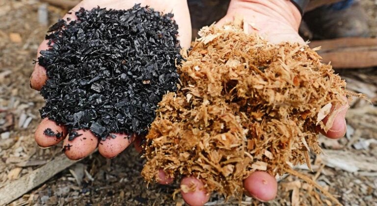 Biocarbón: el “oro negro” que gana protagonismo en el mercado de carbono de largo plazo