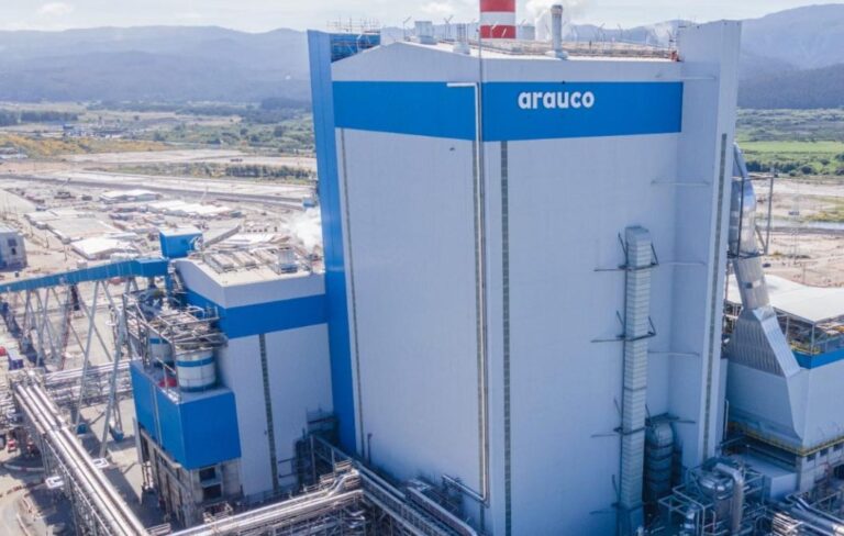 Chile | Arauco analiza impacto de crisis en Medio Oriente y advierte presión estructural de costos en la industria forestal en 2026