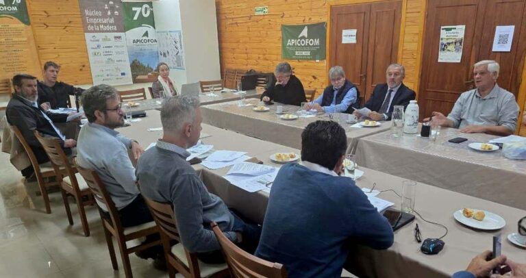 Misiones | Directorio del INFOPRO acordó mantener los precios mínimos fijados para la materia prima forestal ante la crisis del sector