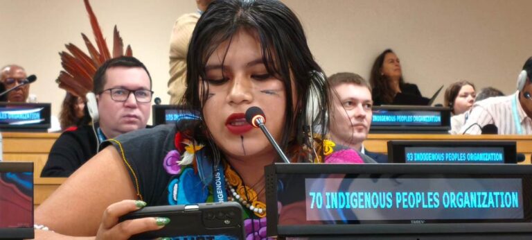 Una voz Mbya Guaraní en la ONU: Keila Zaya llevó a Nueva York el reclamo por territorio, agua y derechos indígenas en Argentina