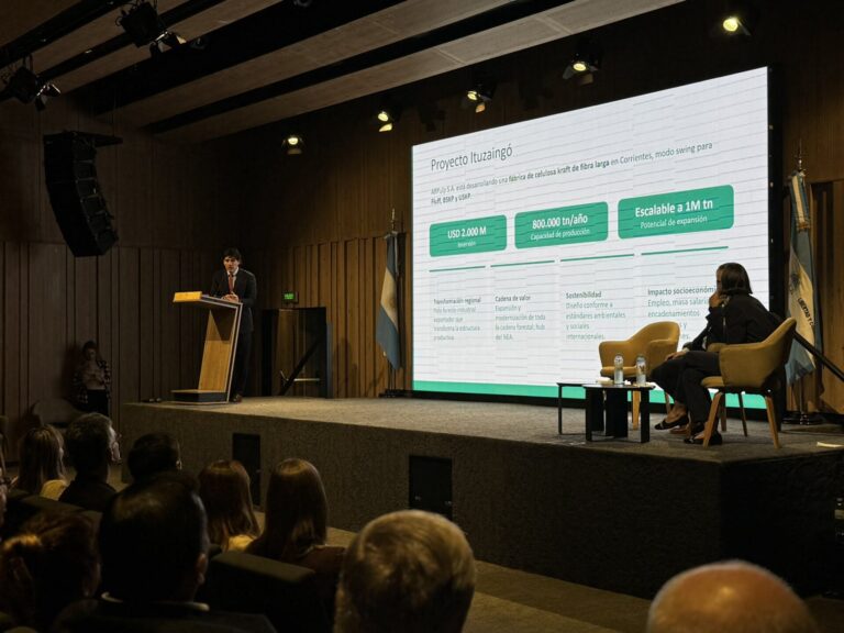 Desarrollo sostenible | La ingeniería diseñada para ARPULP la posicionaría como la planta de producción de celulosa fluff más avanzada del mundo