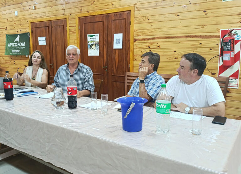 Crisis de la madera | Costos de energía, tasas y caída de la actividad en la agenda urgente de las pymes foresto-industriales