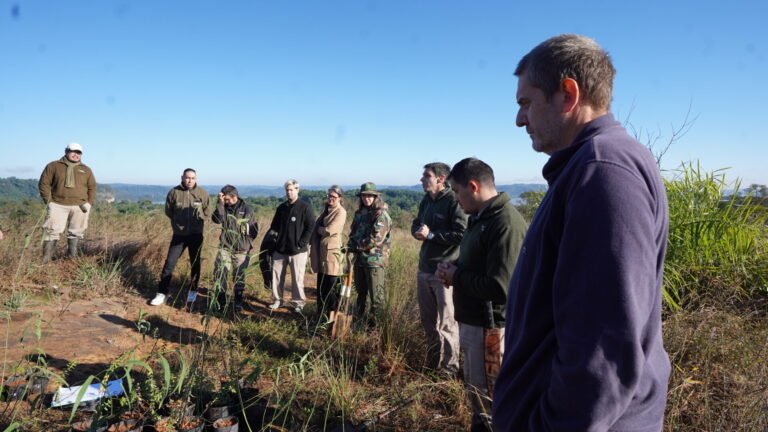 Misiones aprobó la declaración de 12 especies de flora endémica de San Ignacio y Loreto como Monumentos Naturales Provinciales