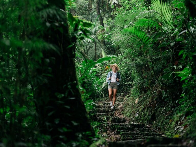 Costa Rica | Desconectar con un entorno forestal y auténtico en biodiversidad, el nuevo lujo que hoy busca el viajero argentino